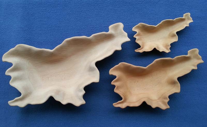 Slika 1 - posoda Slovenija 