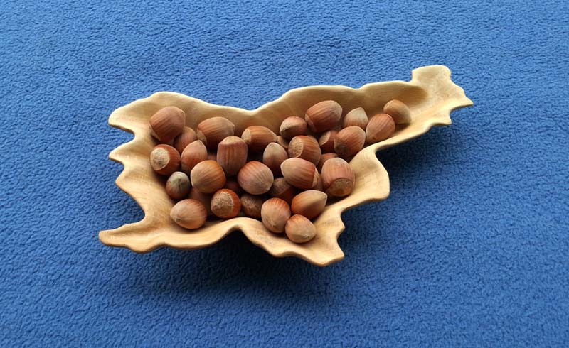 Slika 11 - posoda Slovenija 